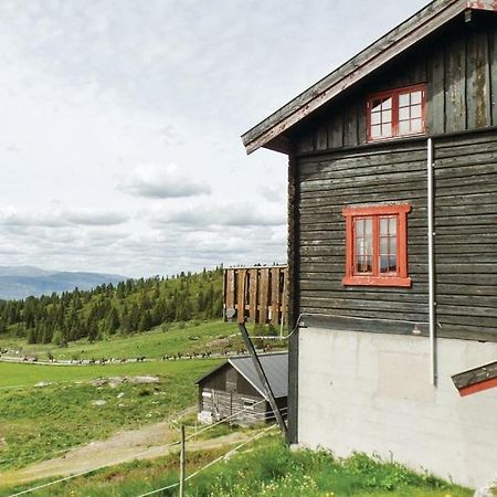 Sulseter Fjellstugu Daire Vinstra Dış mekan fotoğraf
