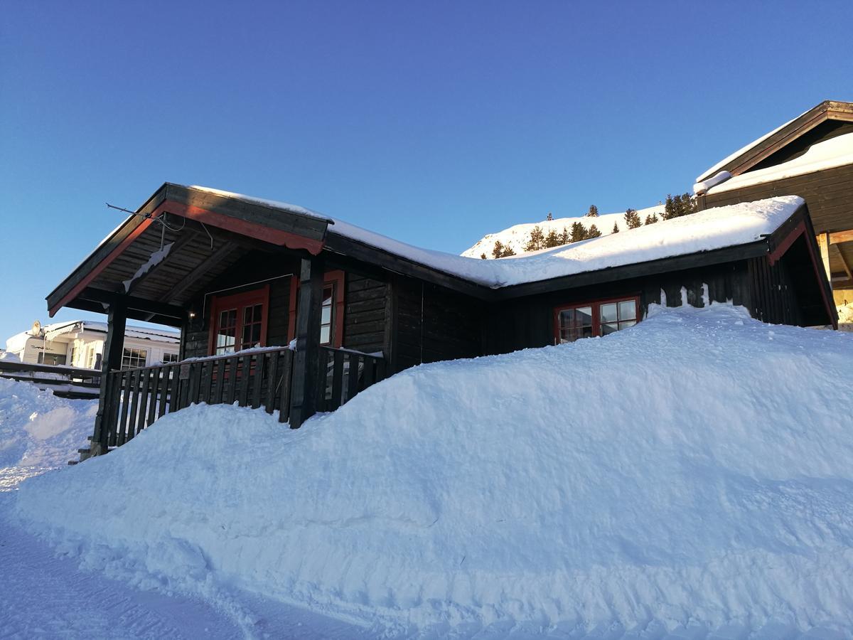 Sulseter Fjellstugu Daire Vinstra Dış mekan fotoğraf